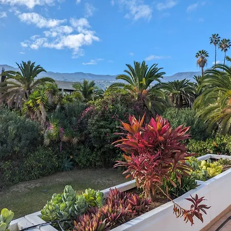Apartment Schicke In La Paz,